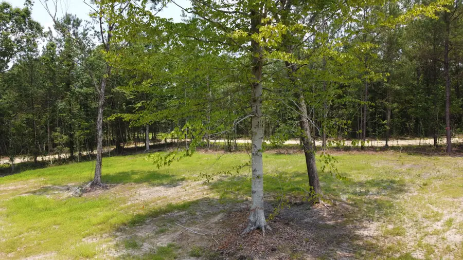 777 Crystal Lake Trail, Huger, SC 29450 - #2