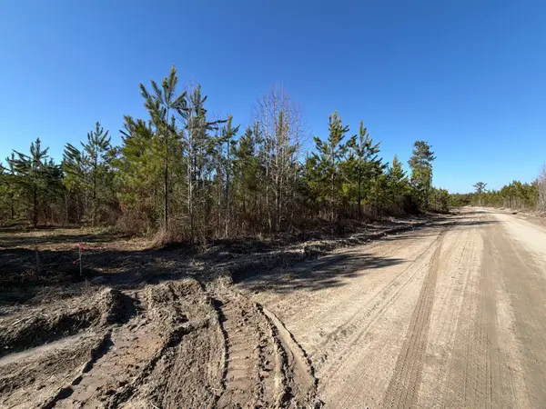 Bff Ii 6 Brunson Teal Rd Road, Patrick, SC 29584