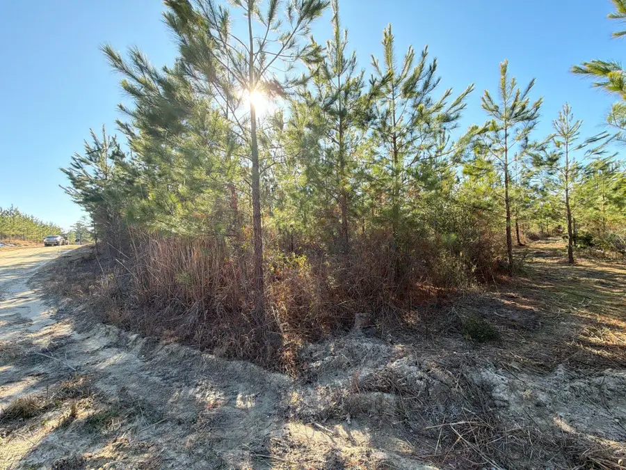 Bff Ii 8 Brunson Teal Rd Road, Patrick, SC 29584 - #3