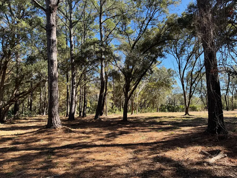 32 Marsh Aire Lane, Edisto Island, SC 29438 - #2