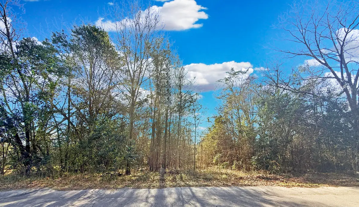 475 Coleman Avenue, Orangeburg, SC 29115 - #1