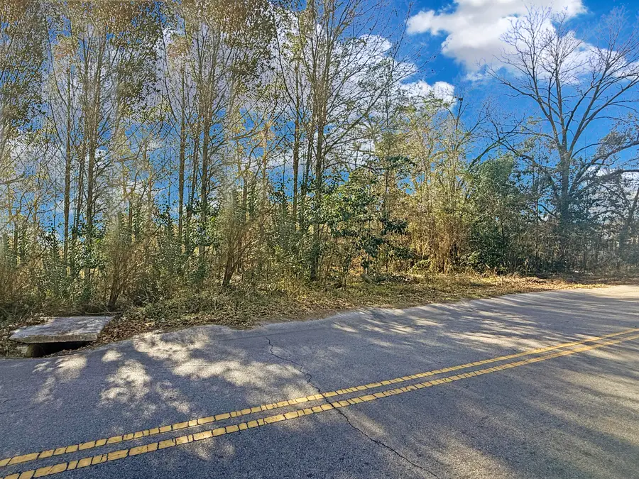 475 Coleman Avenue, Orangeburg, SC 29115 - #2