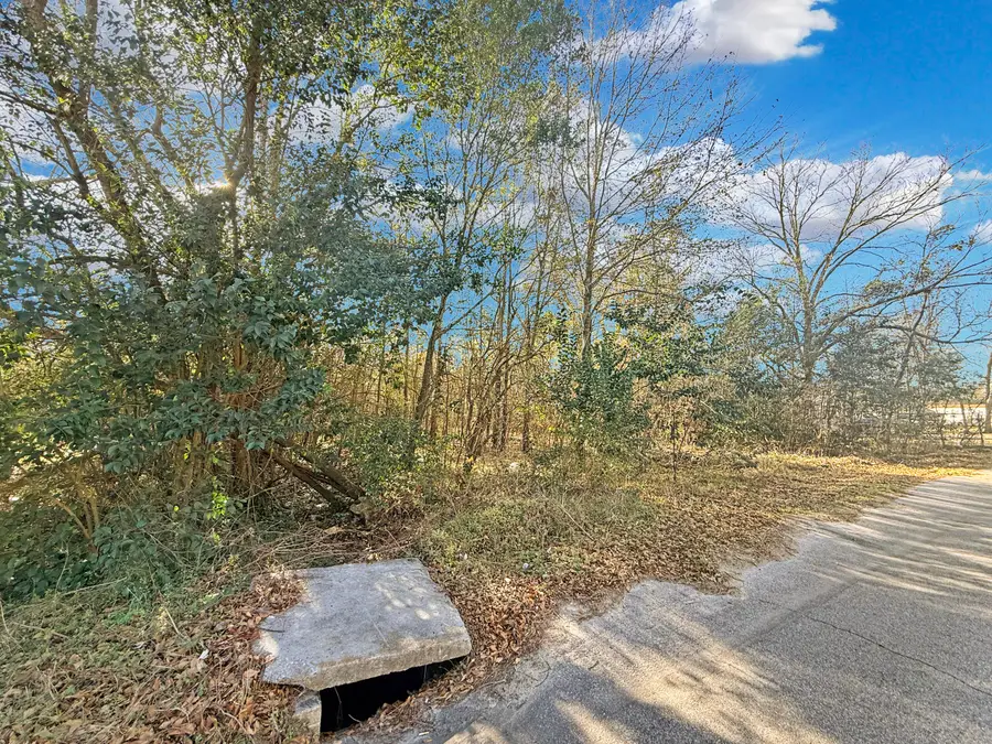 475 Coleman Avenue, Orangeburg, SC 29115 - #3