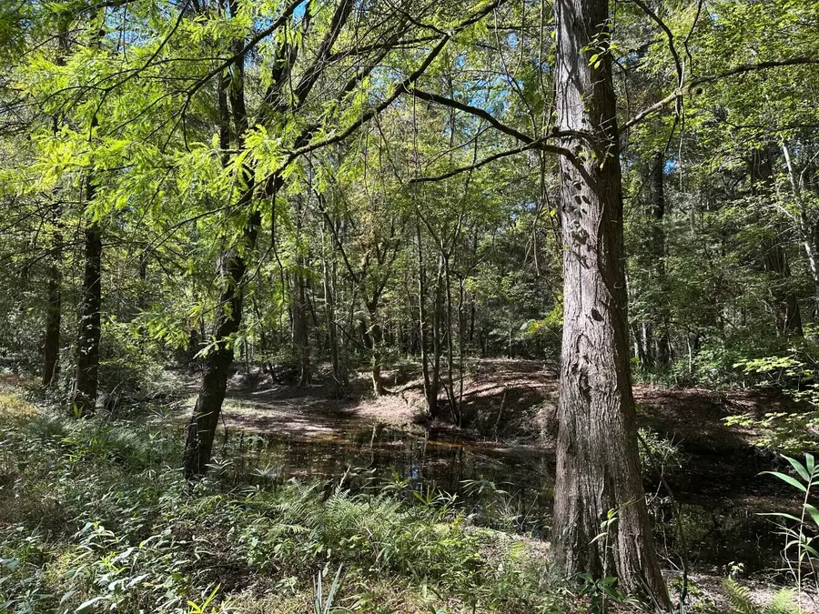 0 Big Bird Lane, Summerville, SC 29483 - #2