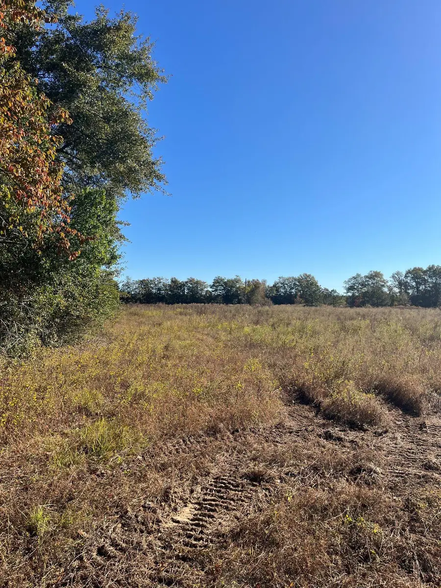 Bhl 4 Boise Cascade #Bhl 4, Bethune, SC 29009 - #3