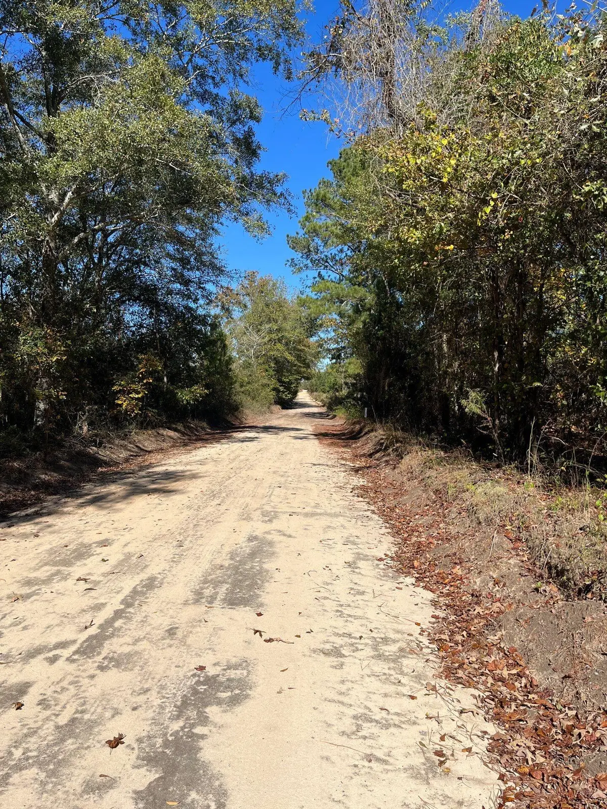 Bhl 7 Boise Cascade #Bhl 7, Bethune, SC 29009 - #1