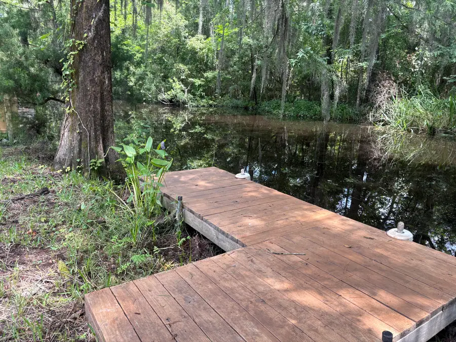 3323 Prices Bridge Lane, Walterboro, SC 29488 - #3