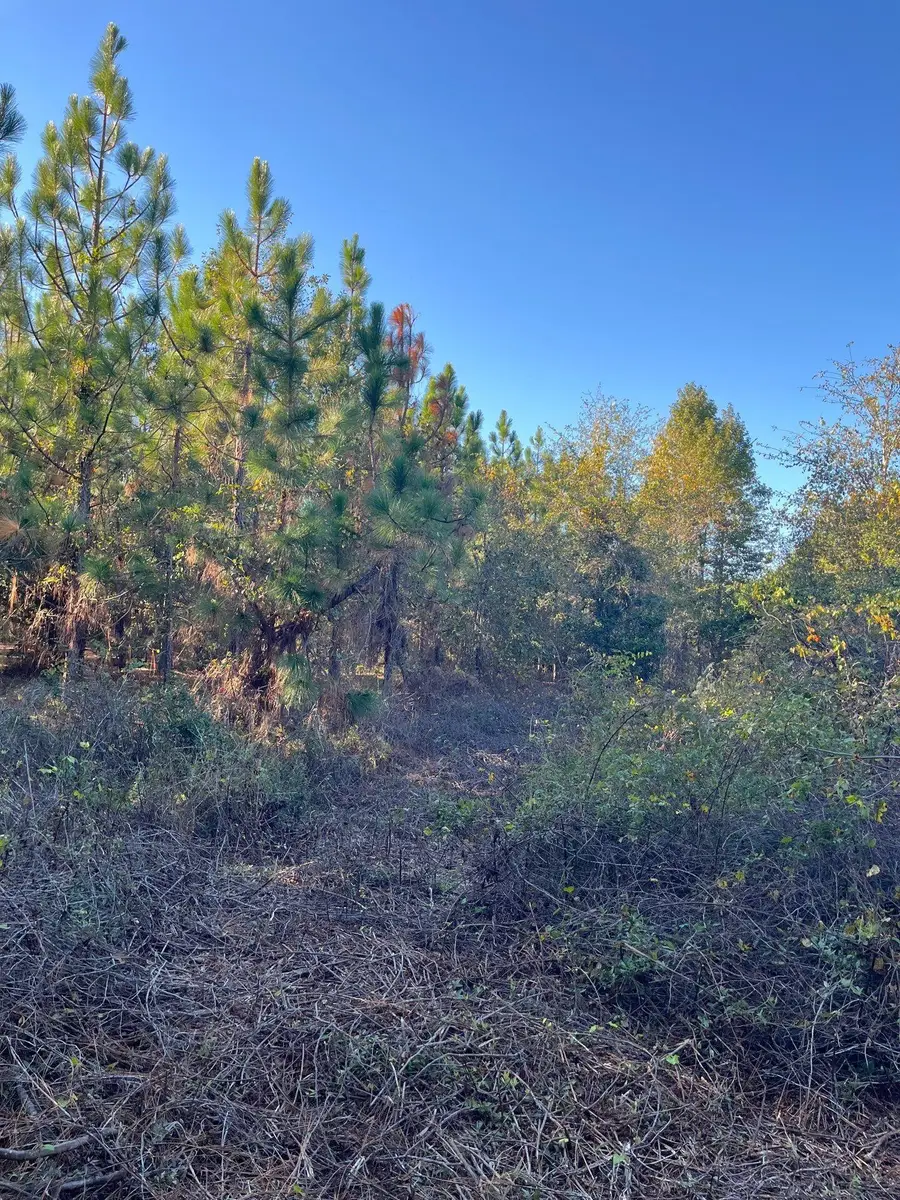 Ppf 12 Payne Pond Road #Ppf 12, Westville, SC 29175 - #2