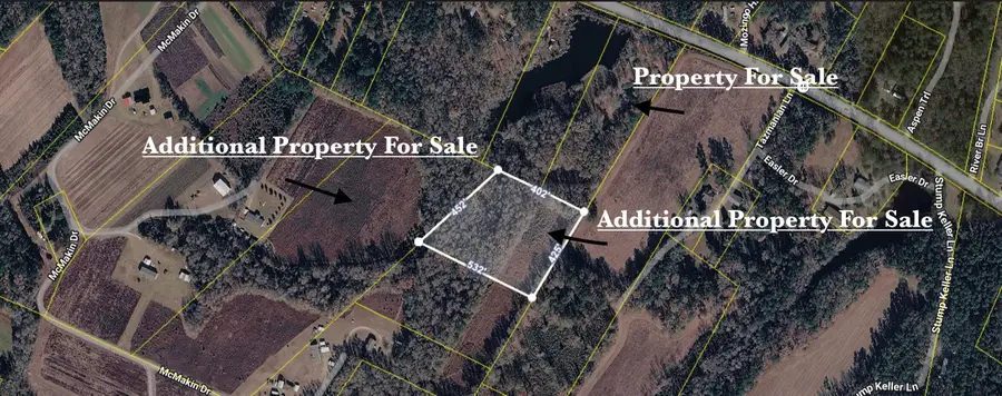 3401 Santee River Road, Saint Stephen, SC 29479 - #3