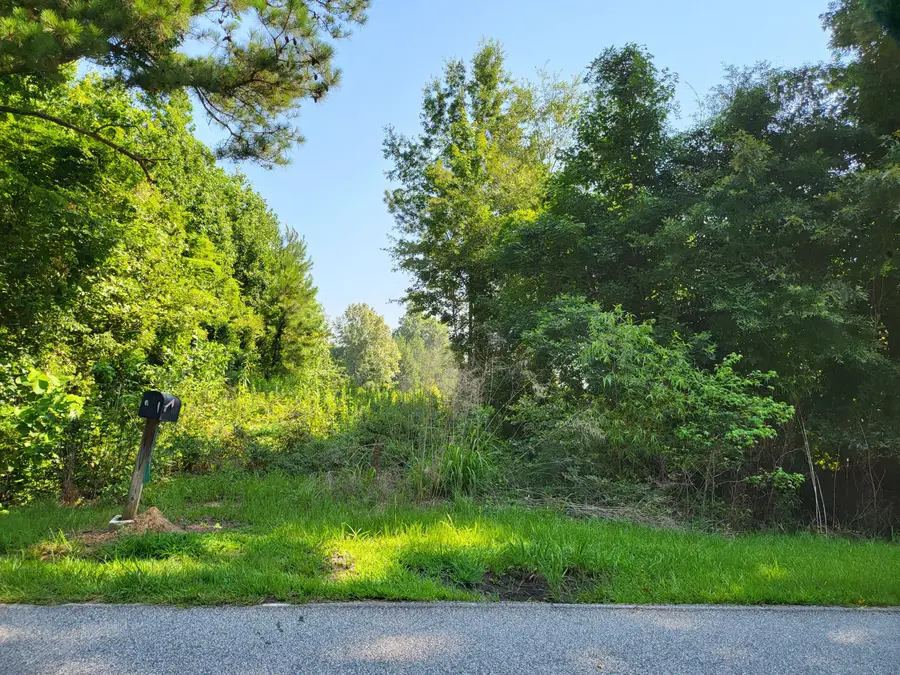 0 Guess Road, Greeleyville, SC 29056 - #3