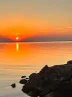 164 Albacore Road, Bonneau, SC 29431 - #1