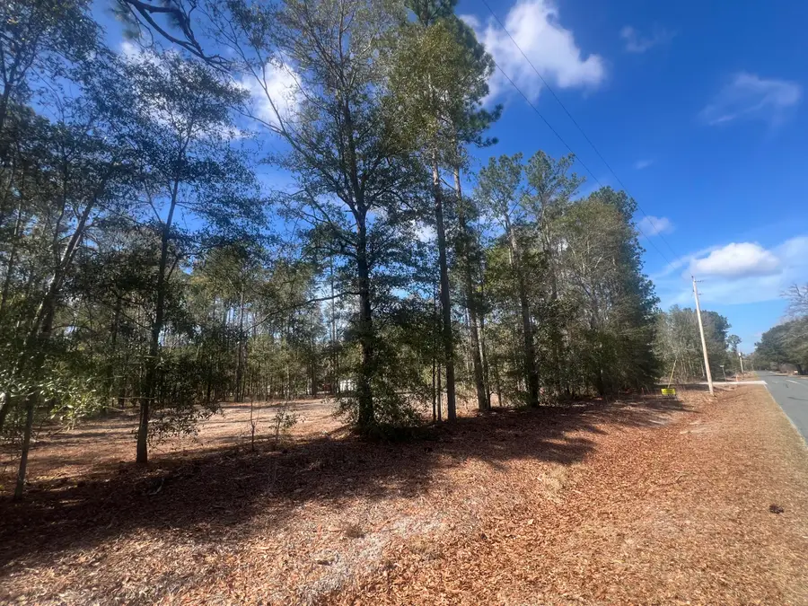1969 Beach Road, Walterboro, SC 29488 - #3