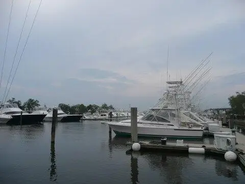 0 Merritt Road #D-4, Charleston, SC 29407