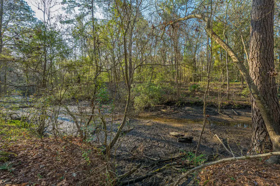 113 Hampton Drive, Summerville, SC 29485 - #2