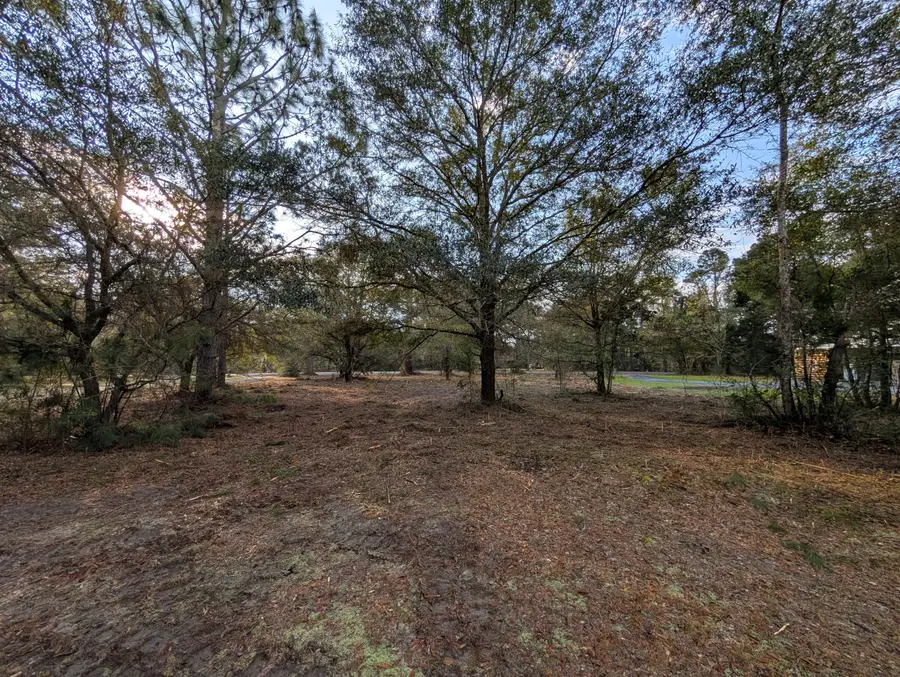 1020 Pinckney Street, McClellanville, SC 29458 - #3