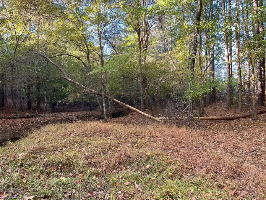 Drf 5 Dawkins Road #Drf 5, Pacolet, SC 29372 - #2