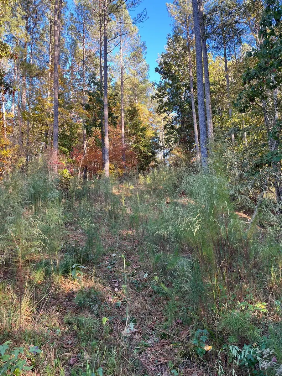 Drf 5 Dawkins Road #Drf 5, Pacolet, SC 29372 - #3