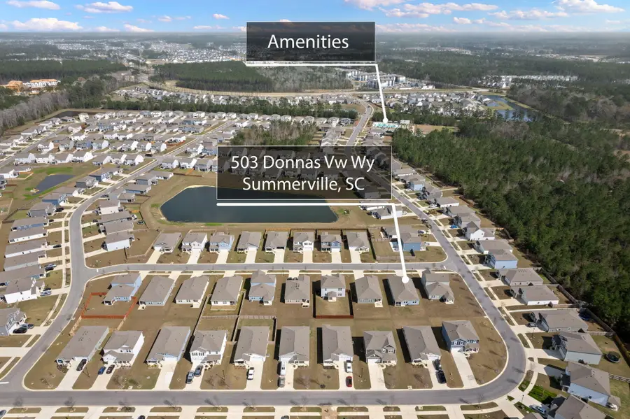 503 Donnas View Way, Summerville, SC 29486 - #2