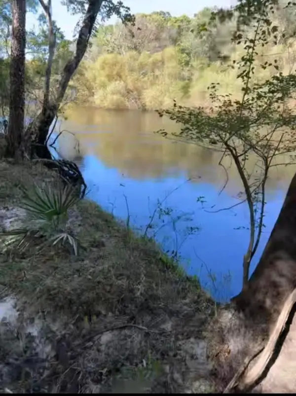 0 Mcdanieltown Road, Ridgeville, SC 29472