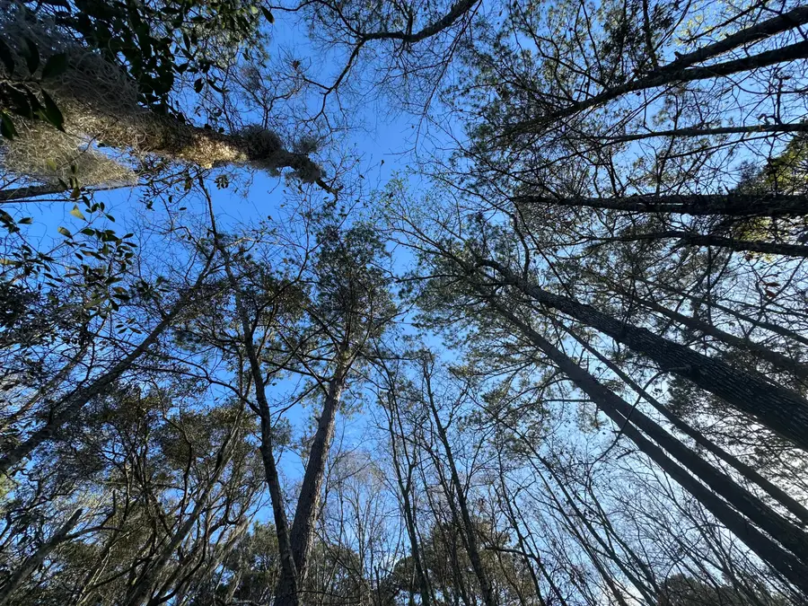 0 Cooke Road #Lot 1, Johns Island, SC 29455 - #3