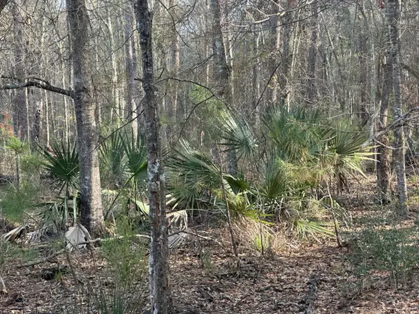 0 Cooke Road #Lot 2, Johns Island, SC 29455
