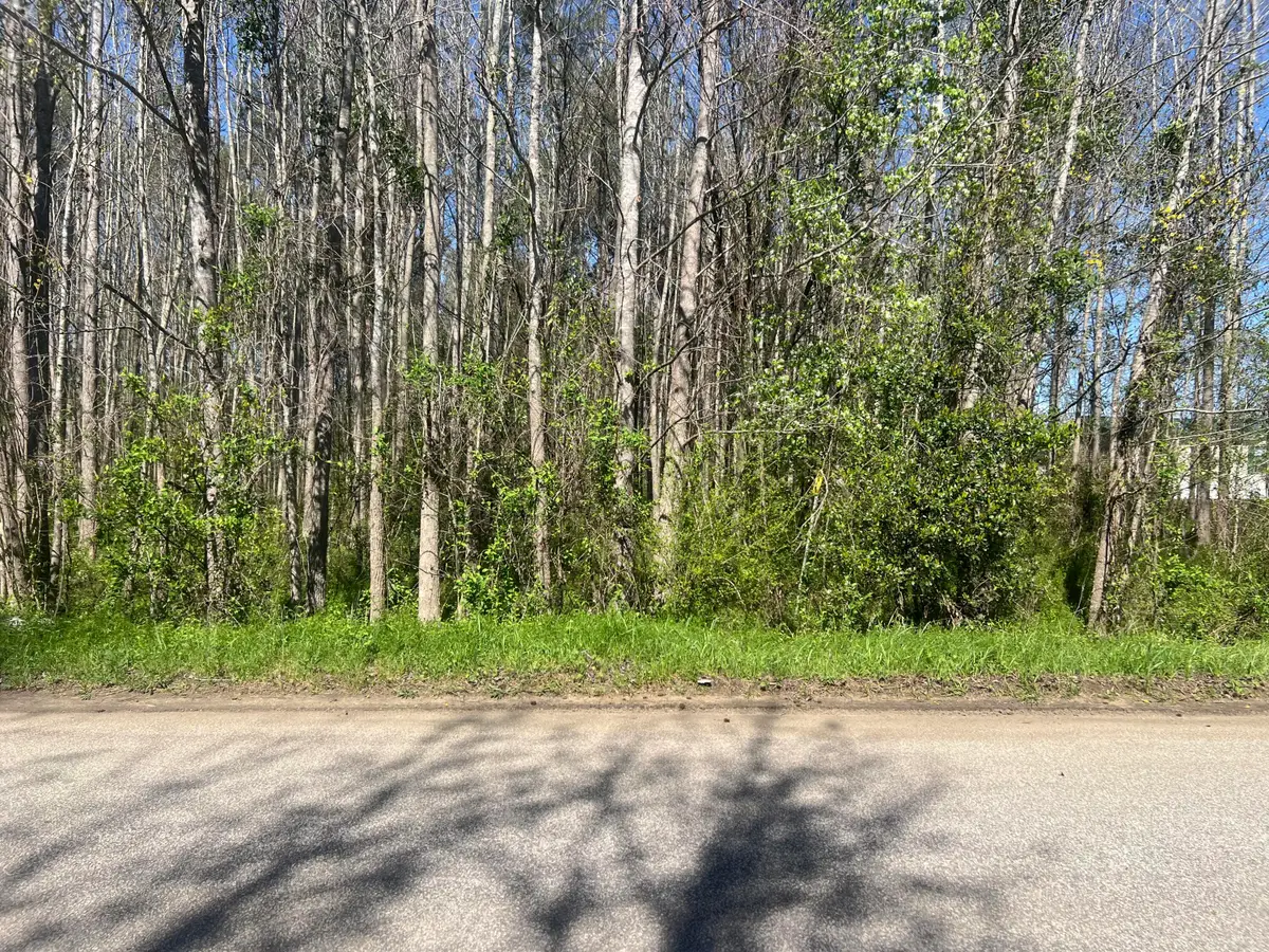 0 Mcnair Drive, Summerton, SC 29148 - #1