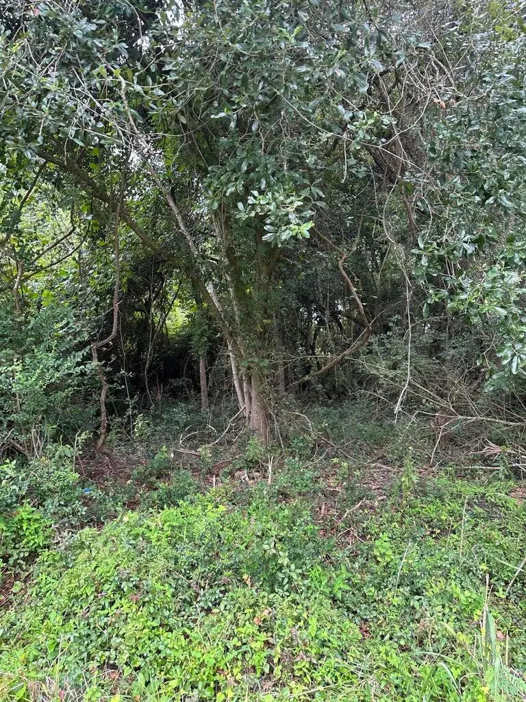 1849 Hazzard Lane, Charleston, SC 29412 - #2