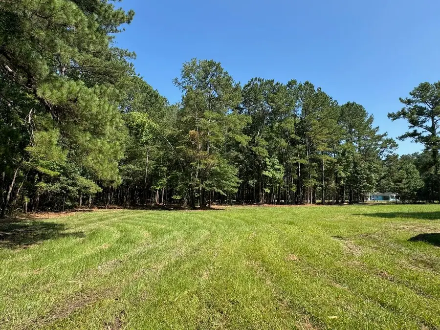 0 Fish Road #4 & 5, Ridgeville, SC 29472 - #2
