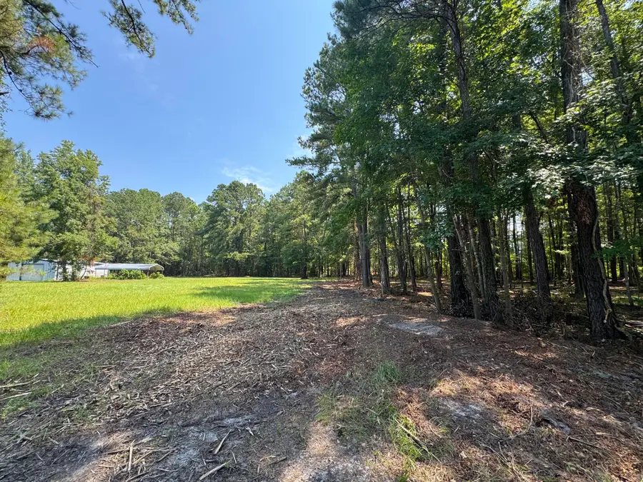 0 Fish Road #4 & 5, Ridgeville, SC 29472 - #3