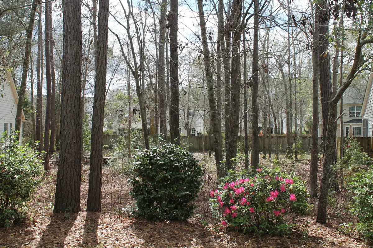228 Comiskey Park Circle, Summerville, SC 29485 - #1