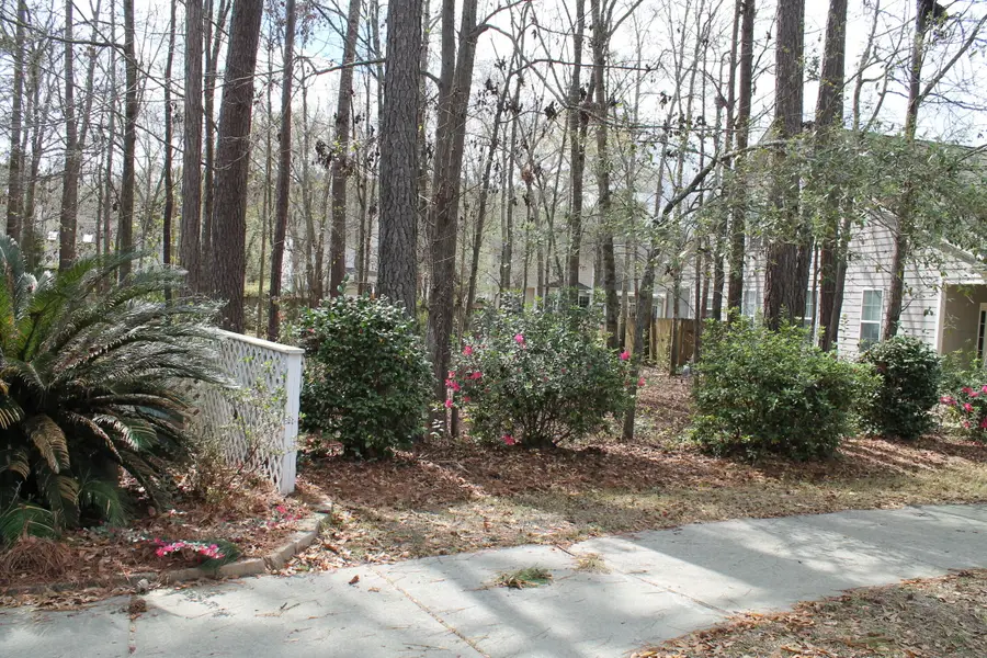 228 Comiskey Park Circle, Summerville, SC 29485 - #3