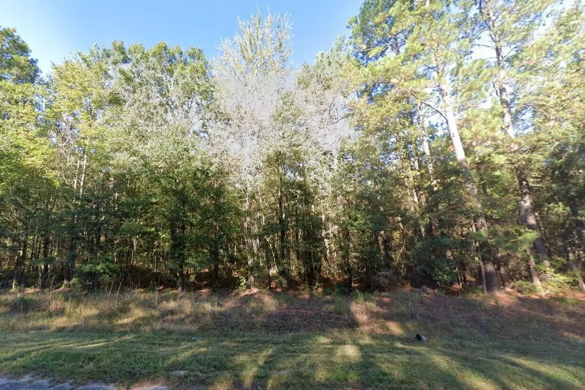 0 Thirty Five Mile Road, Ridgeville, SC 29472 - #1
