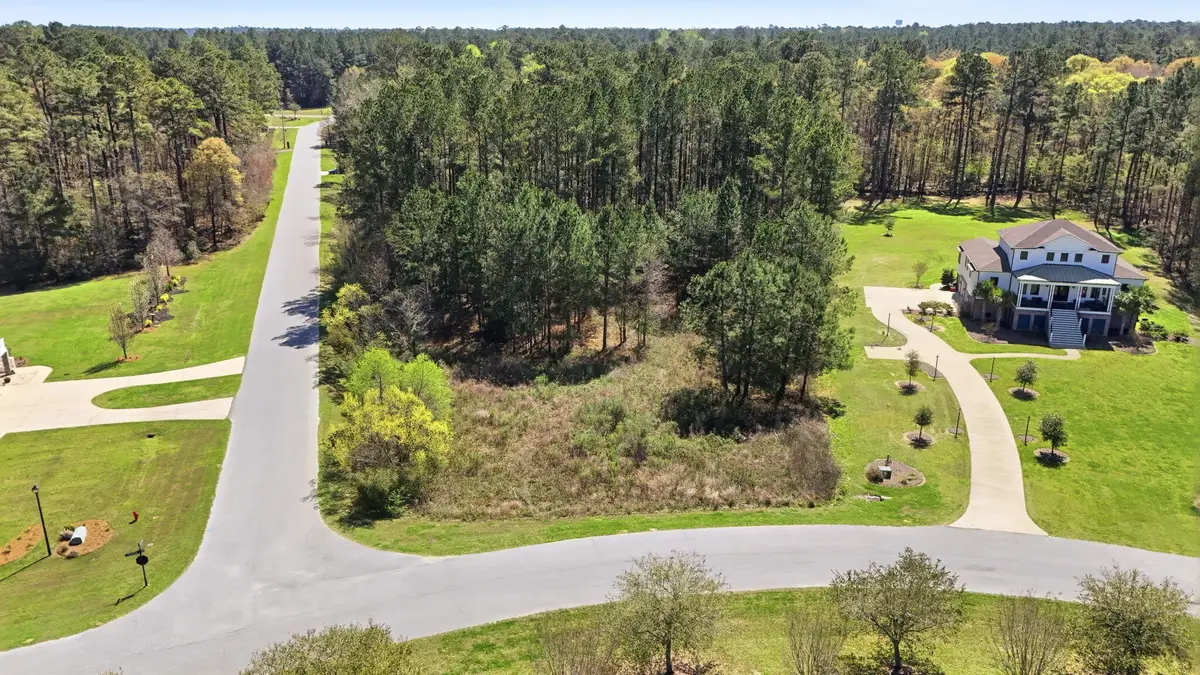 1313 Wood Sorrel Drive, Moncks Corner, SC 29461 - #1