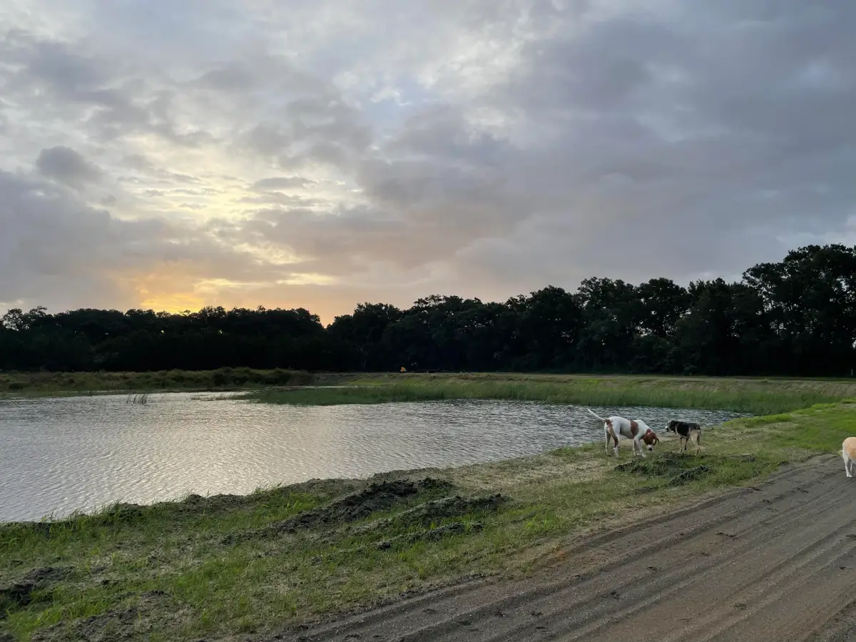 3170 Contentment Hall Road, Johns Island, SC 29455 - #1