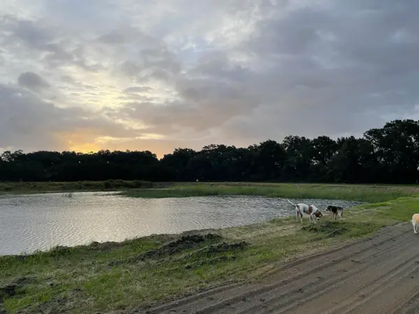 3170 Contentment Hall Road, Johns Island, SC 29455