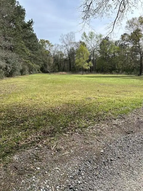 140 Bowers Lane, Moncks Corner, SC 29461 - #3