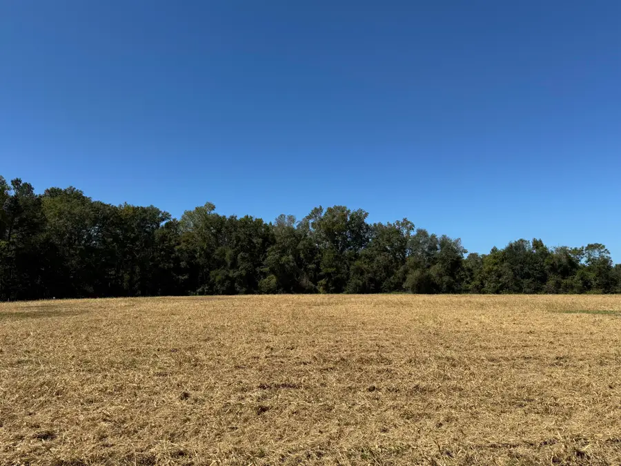 0 Clarks Hill Drive #4, Saint George, SC 29477 - #2