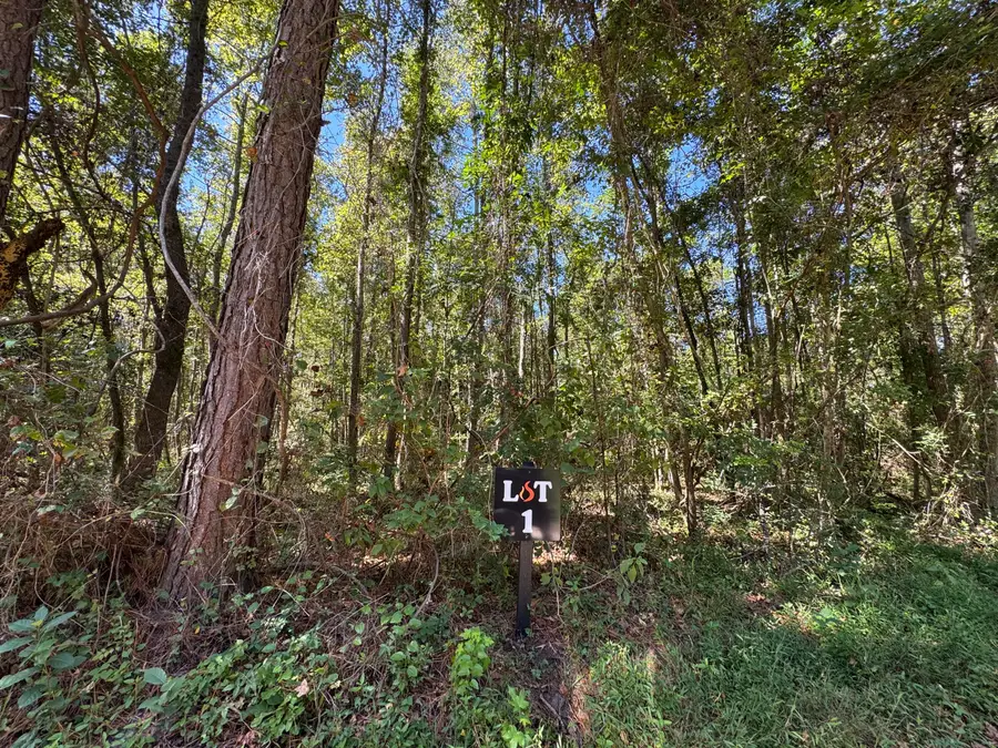 0 Clarks Hill Drive #1, Saint George, SC 29477 - #2