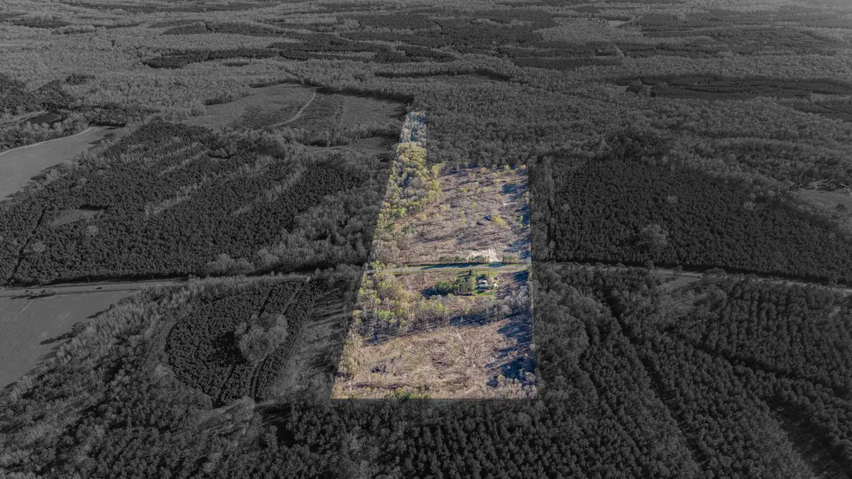 Address Withheld By Seller, Greeleyville, SC 29056 - #1