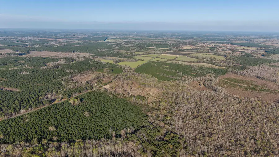 Address Withheld By Seller, Greeleyville, SC 29056 - #3