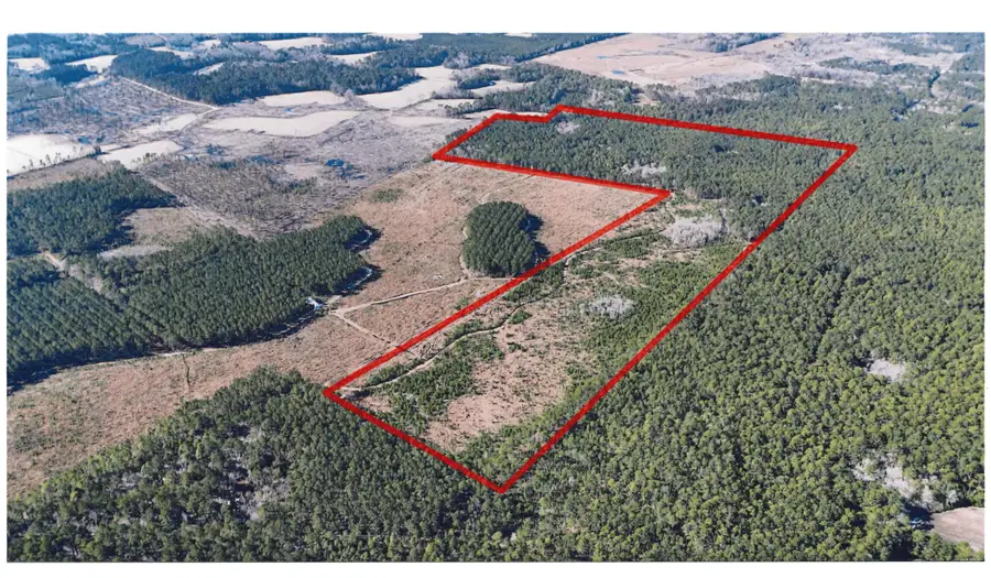 0 Gabes Place, Reevesville, SC 29471 - #2