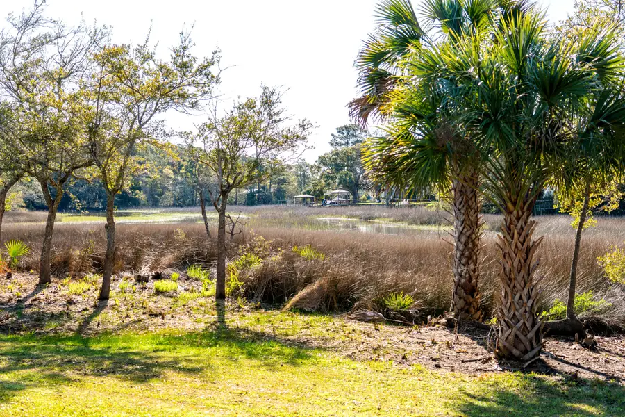 1476 Harbor Mist Court, Charleston, SC 29492 - #3