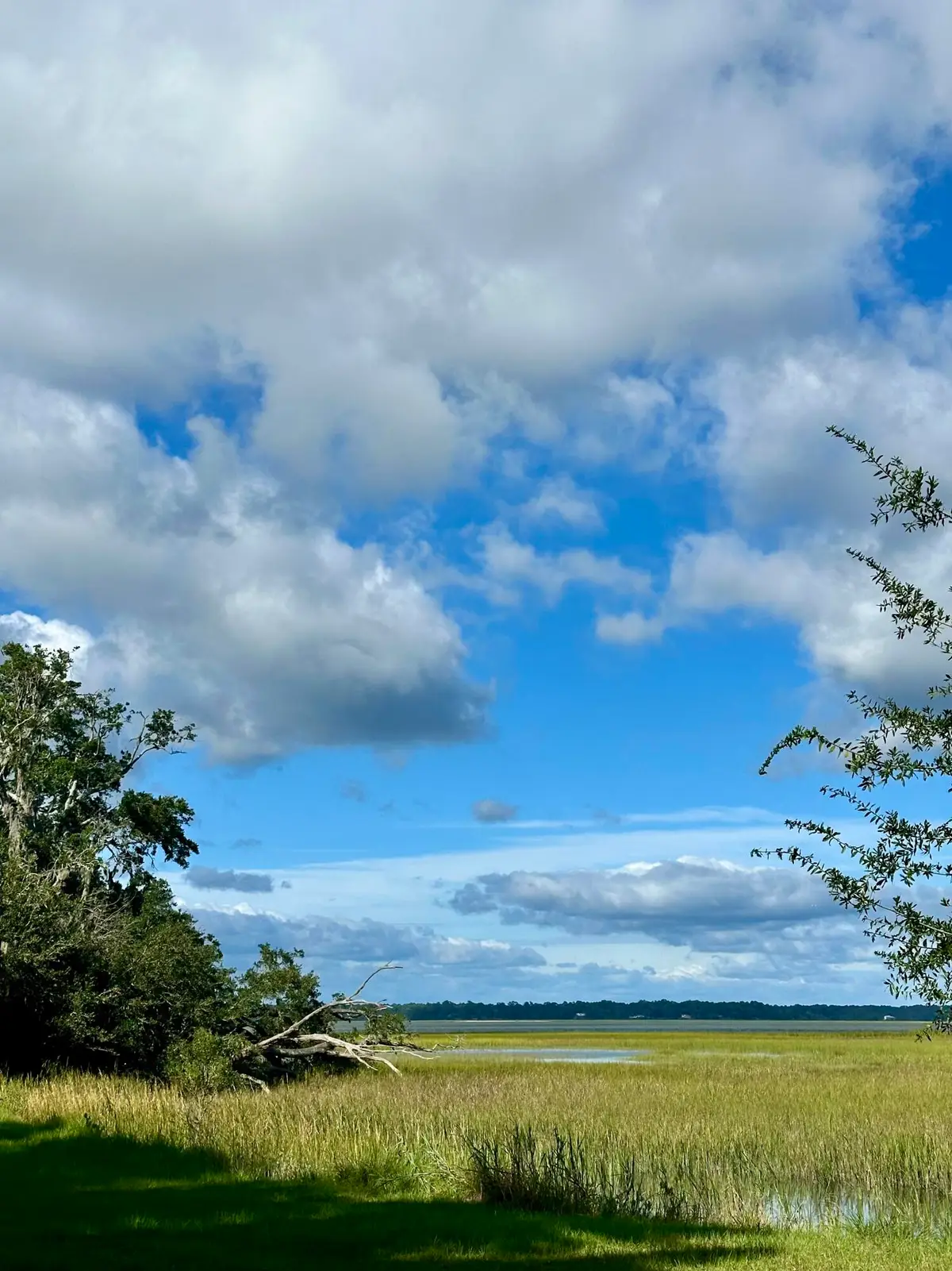 7950 Hopkins Pl Drive #Lot 15, Edisto Island, SC 29438 - #1