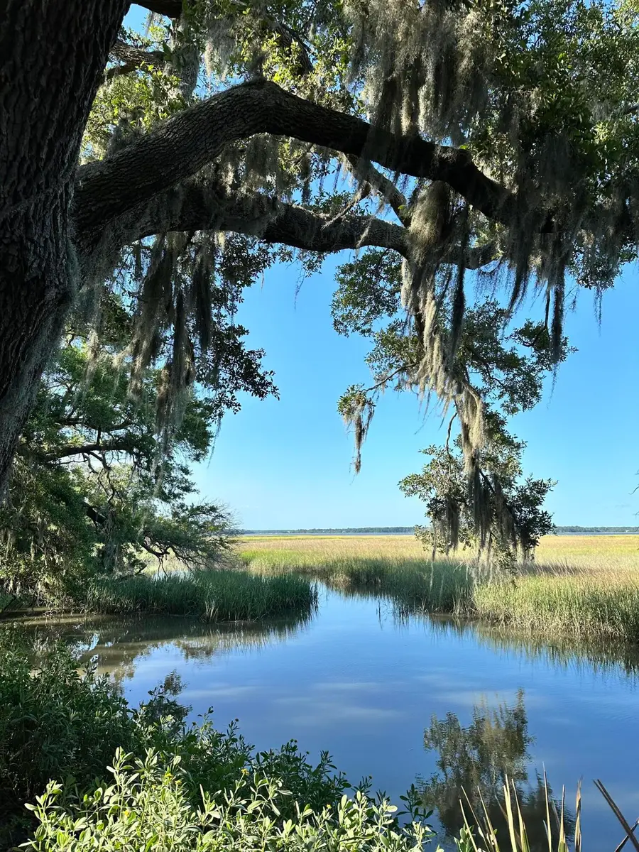 7950 Hopkins Pl Drive #Lot 15, Edisto Island, SC 29438 - #3