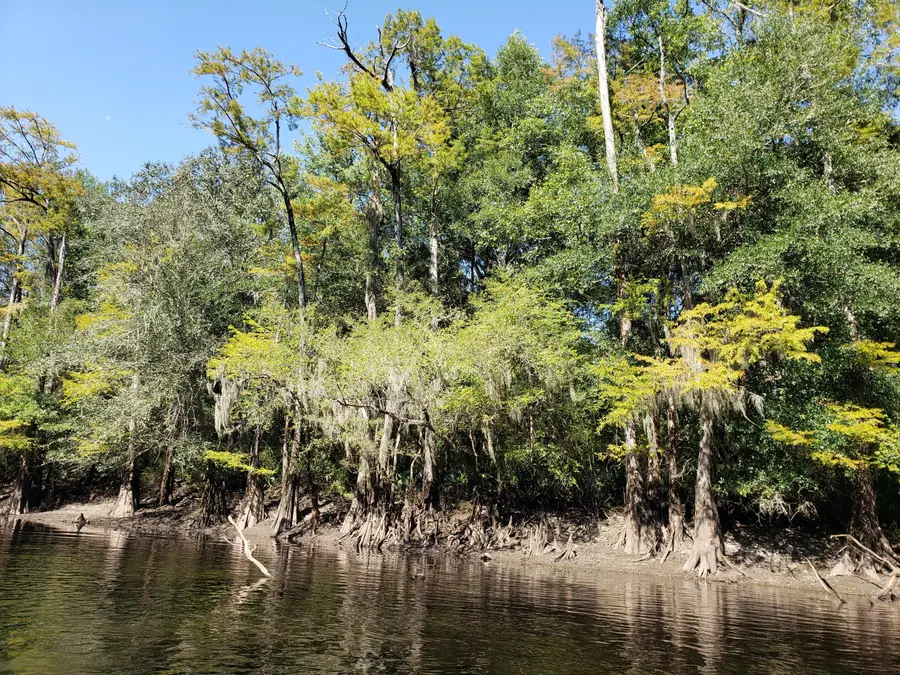 0 U.s. 521, Salters, SC 29590 - #2