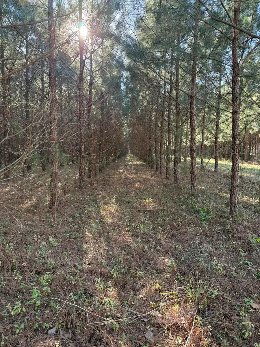 0 Polk Road, Islandton, SC 29929 - #2