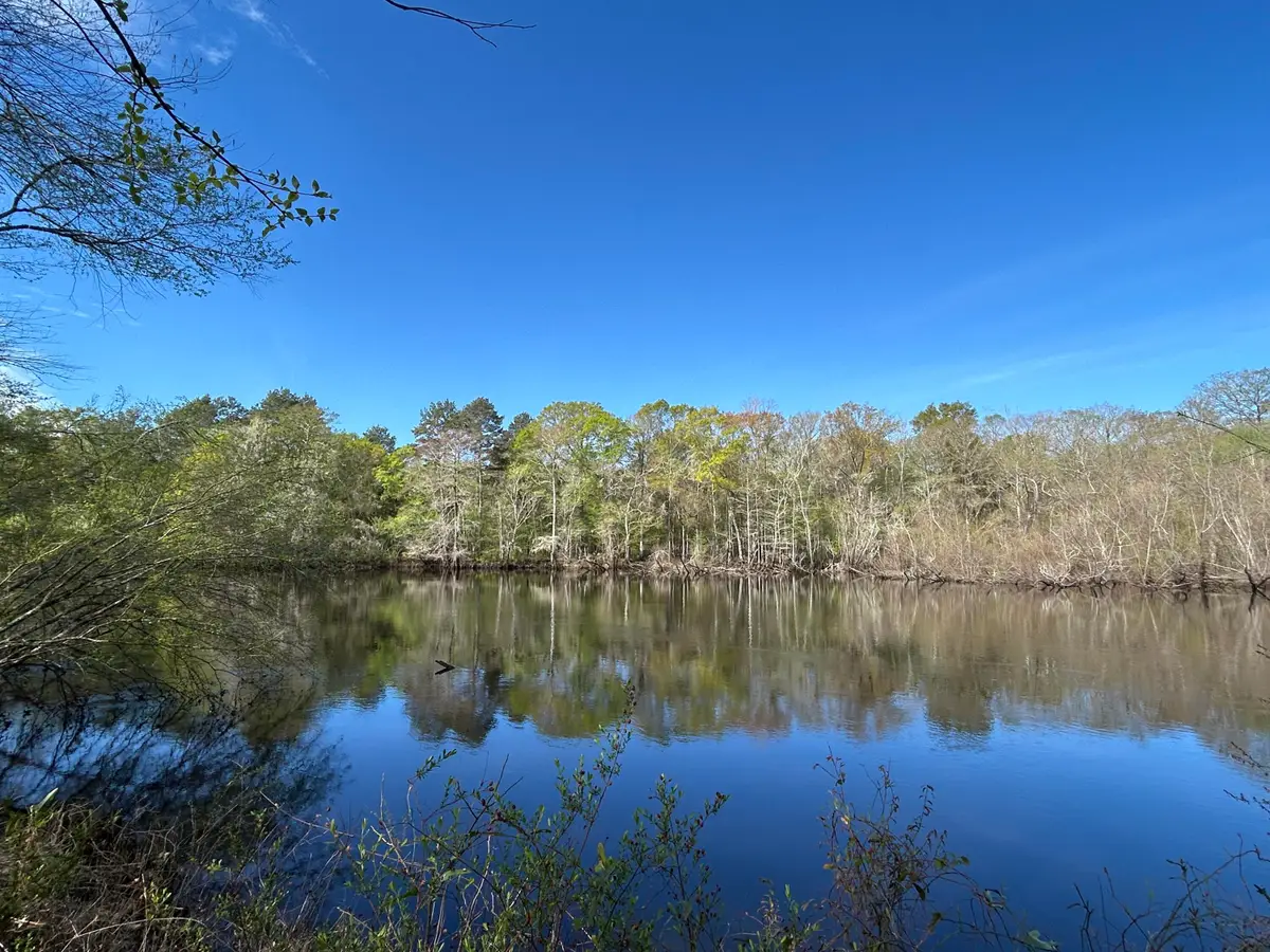 1 Boat Landing Road, Ridgeville, SC 29472 - #1