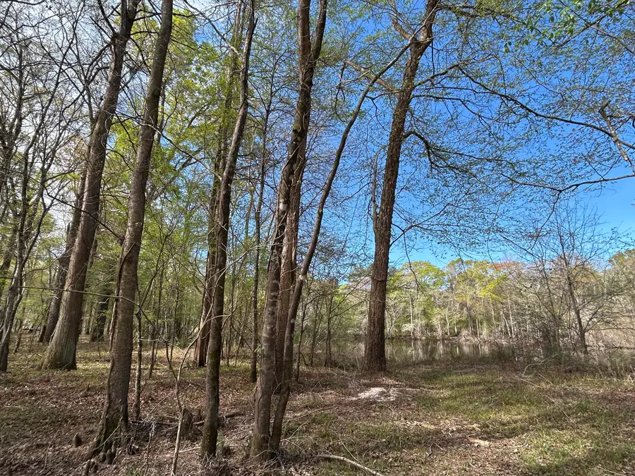 1 Boat Landing Road, Ridgeville, SC 29472 - #3