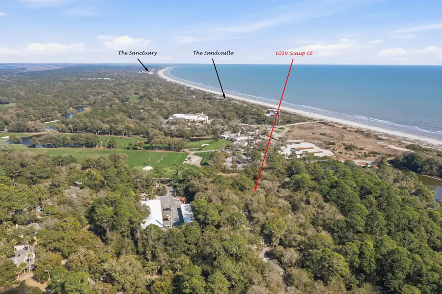 1029 Scaup Court, Kiawah Island, SC 29455 - #2