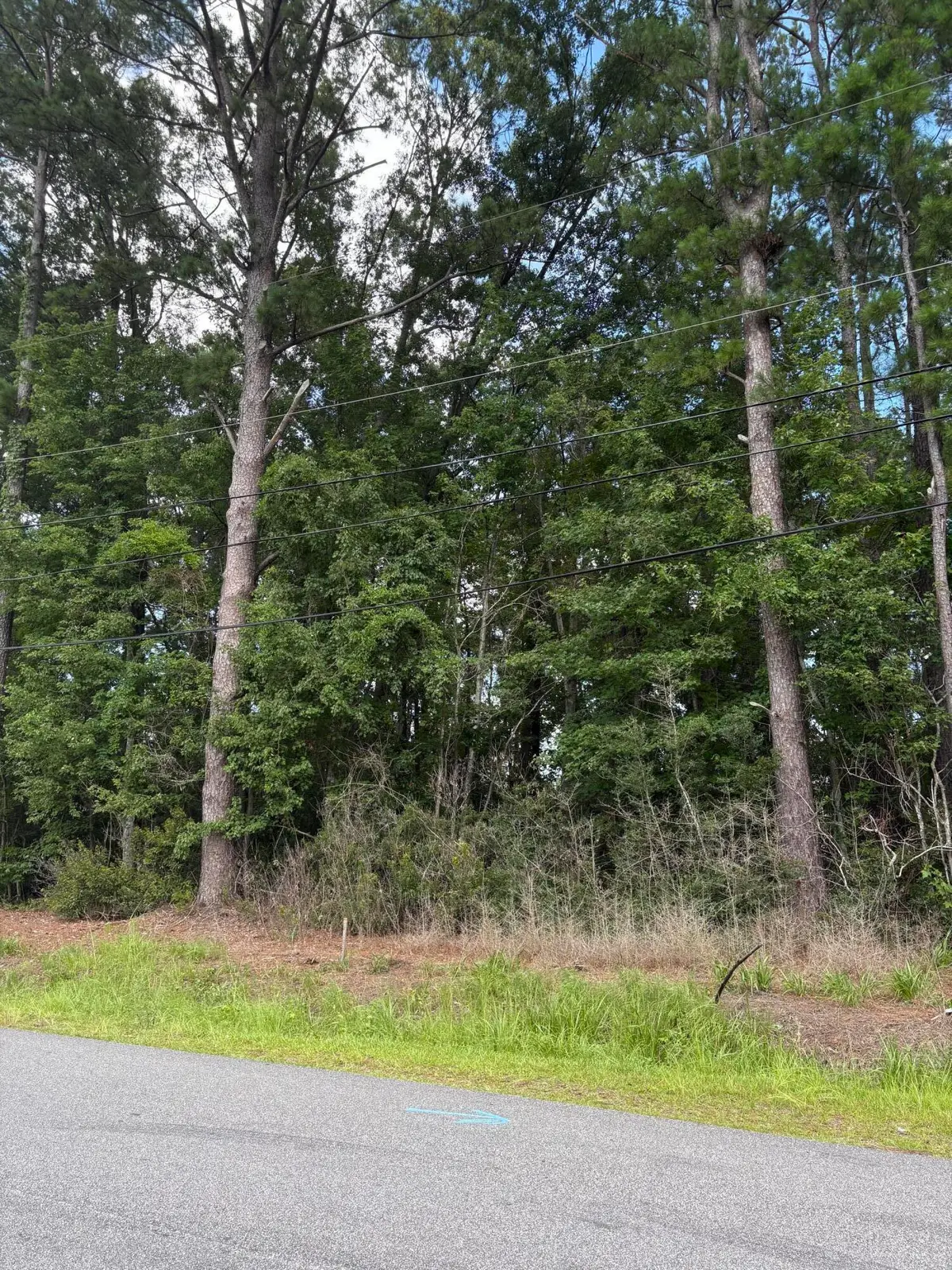 0 University Drive #Lot 184, North Charleston, SC 29418 - #1